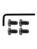 C&S 1911 Grip Screw Hex SS - Stainless Steel, Set 