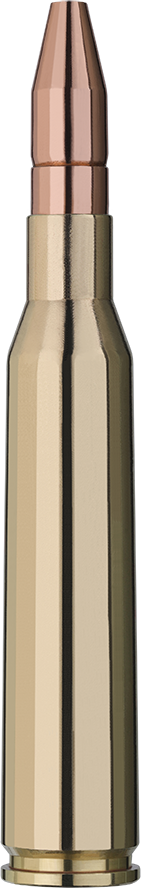 RWS 6,5x57 DK HUNTER 9,1G / 140 Grain, 20 ptr