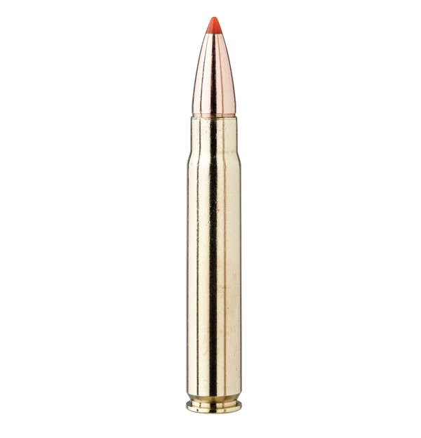 Hornady 9,3x62 ECX 250 Grain, Blyfri kula