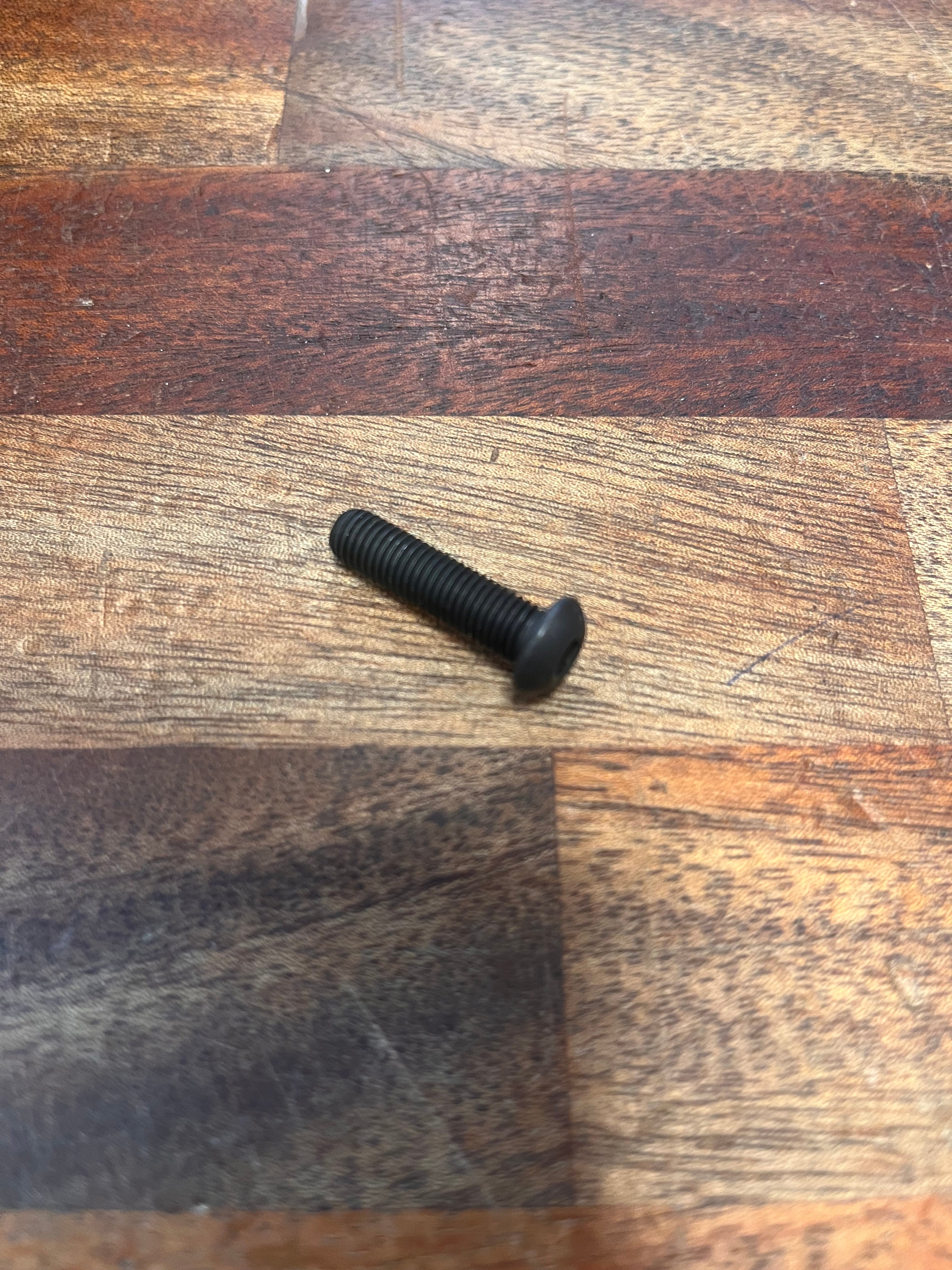 AR15 Pistol Grip Screw  1/4 Inch