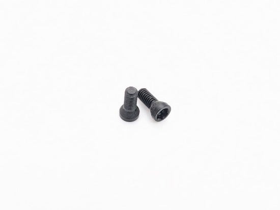 Tanfoglio Grip Screws UNICA, TORX, 2 pcs. (18.D3) 