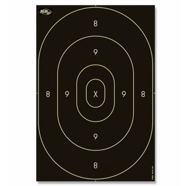 PPC 1500 SPEGEL Träffområde tavelpapp,, 46x31cm