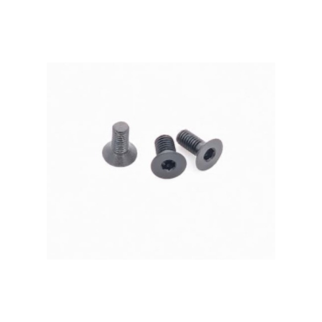 Screw, Rear Sight Adapter Multi-Dot Plate M3x5 T10 (19.H3)