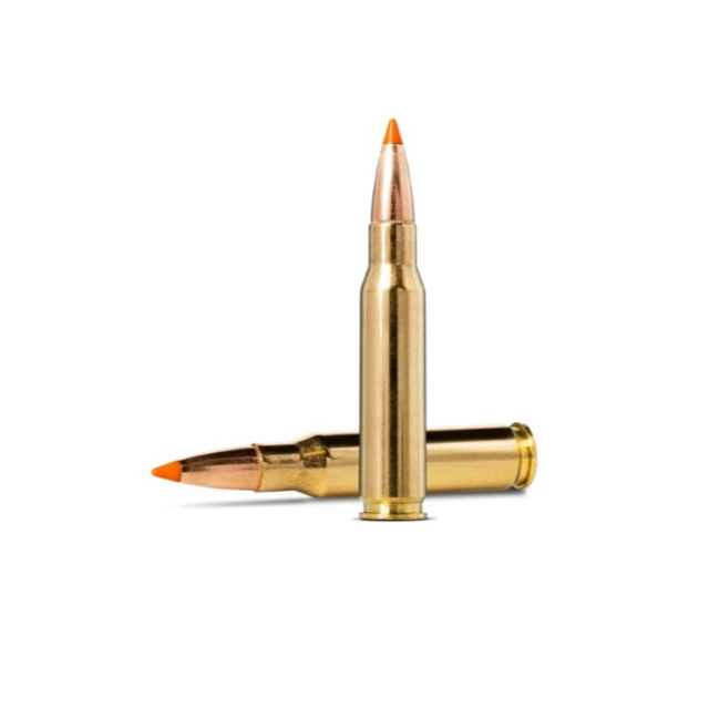 Norma .308W TIPSTRIKE 11g/170gr 20 ptr