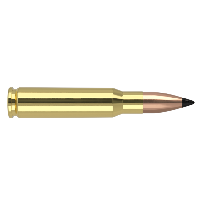 NOSLER .308 Winchester 110gr FB Tipped Varmageddon