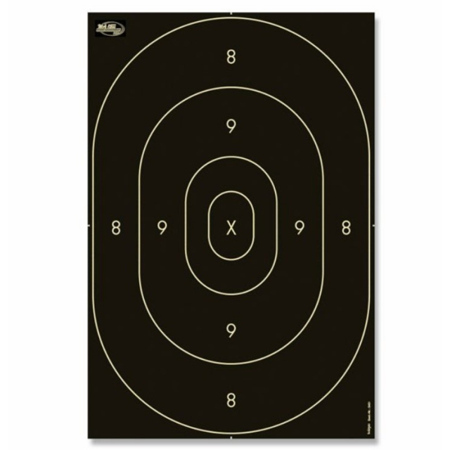 PPC 1500 SPEGEL Träffområde tavelpapp,, 46x31cm