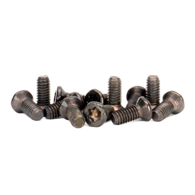 Spuhr M4x10 Torx screw T20 1 st A-0132