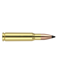 NOSLER .308 Winchester 110gr FB Tipped Varmageddon