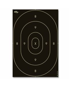 PPC 1500 SPEGEL Träffområde tavelpapp,, 46x31cm