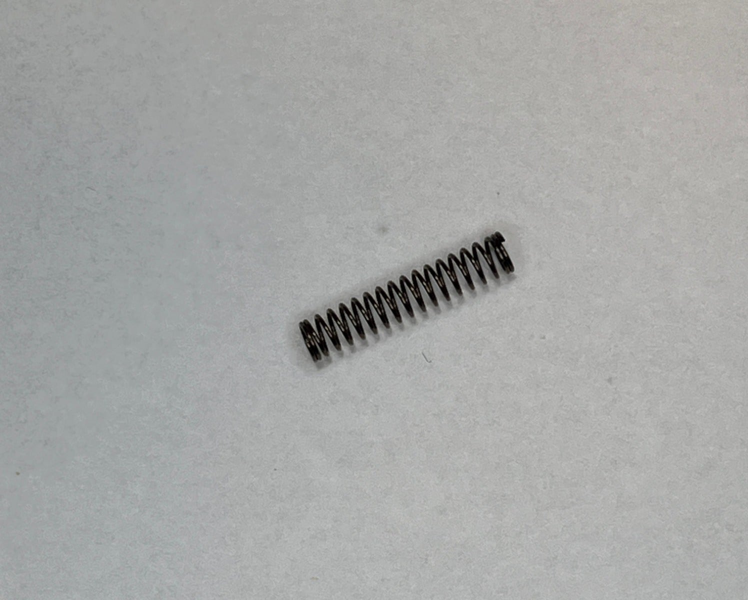 Tanfoglio .22 Lr Firing Pin SPRING (19.B2)