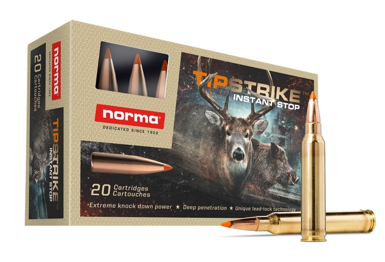 Norma .300 WM TIP STRIKE 11g/170gr 20 ptr
