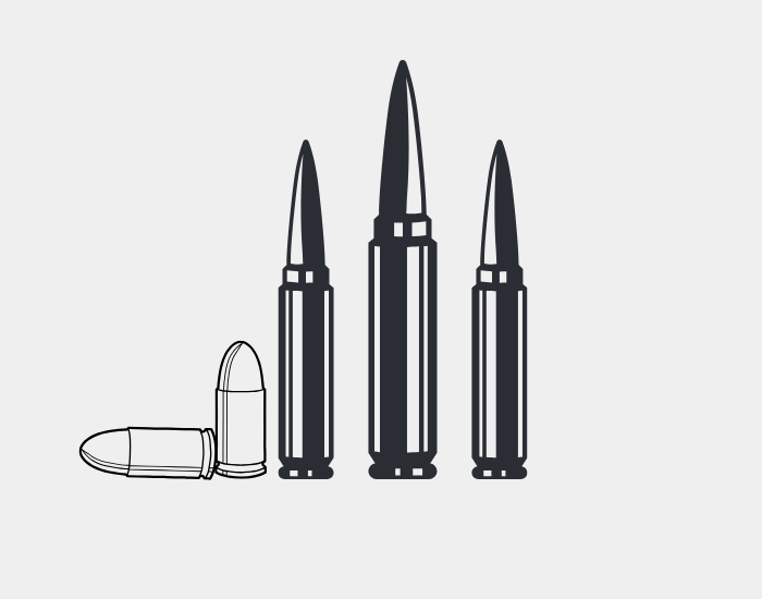 Ammunition efter kaliber